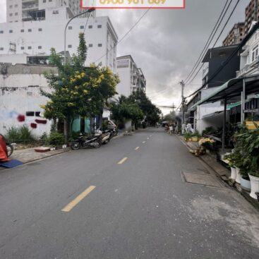 Bán đất Mặt Tiền đường Lê Thị Chợ, Phú Thuận, Quận 7 01